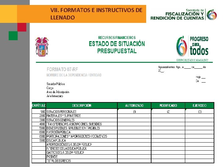 VII. FORMATOS E INSTRUCTIVOS DE LLENADO 