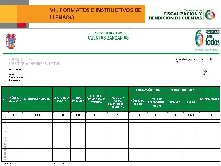 VII. FORMATOS E INSTRUCTIVOS DE LLENADO 