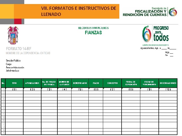 VII. FORMATOS E INSTRUCTIVOS DE LLENADO 