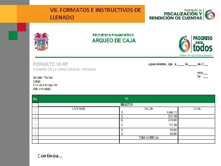 VII. FORMATOS E INSTRUCTIVOS DE LLENADO Continúa… 