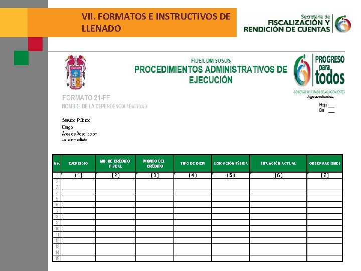 VII. FORMATOS E INSTRUCTIVOS DE LLENADO 