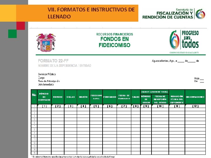 VII. FORMATOS E INSTRUCTIVOS DE LLENADO 