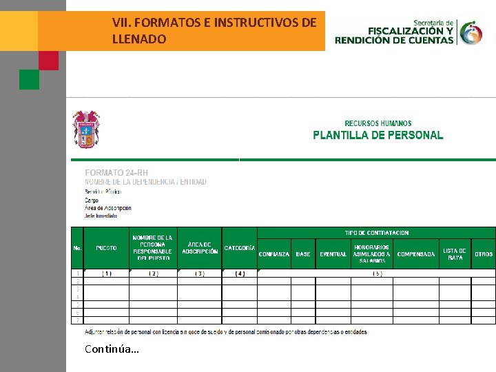 VII. FORMATOS E INSTRUCTIVOS DE LLENADO Continúa… 