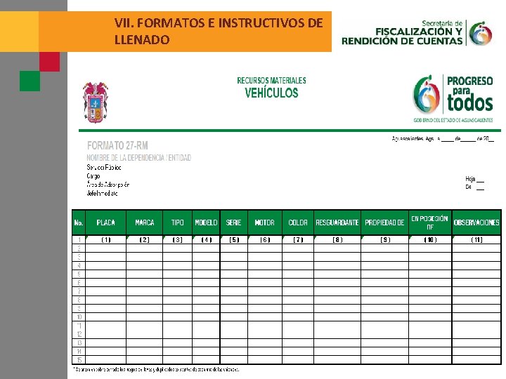 VII. FORMATOS E INSTRUCTIVOS DE LLENADO 