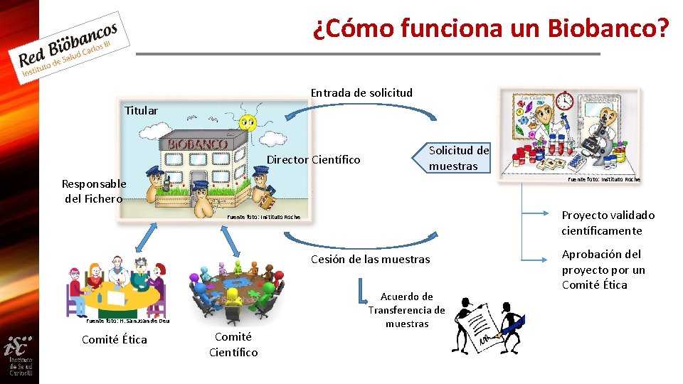¿Cómo funciona un Biobanco? Entrada de solicitud Titular Director Científico Solicitud de muestras Fuente