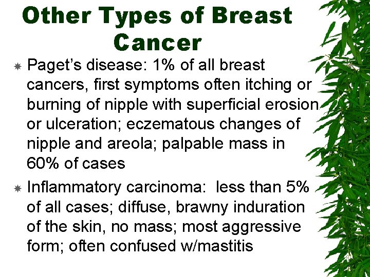 Other Types of Breast Cancer Paget’s disease: 1% of all breast cancers, first symptoms