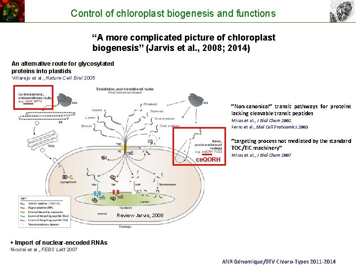 Control of chloroplast biogenesis and functions “A more complicated picture of chloroplast biogenesis” (Jarvis