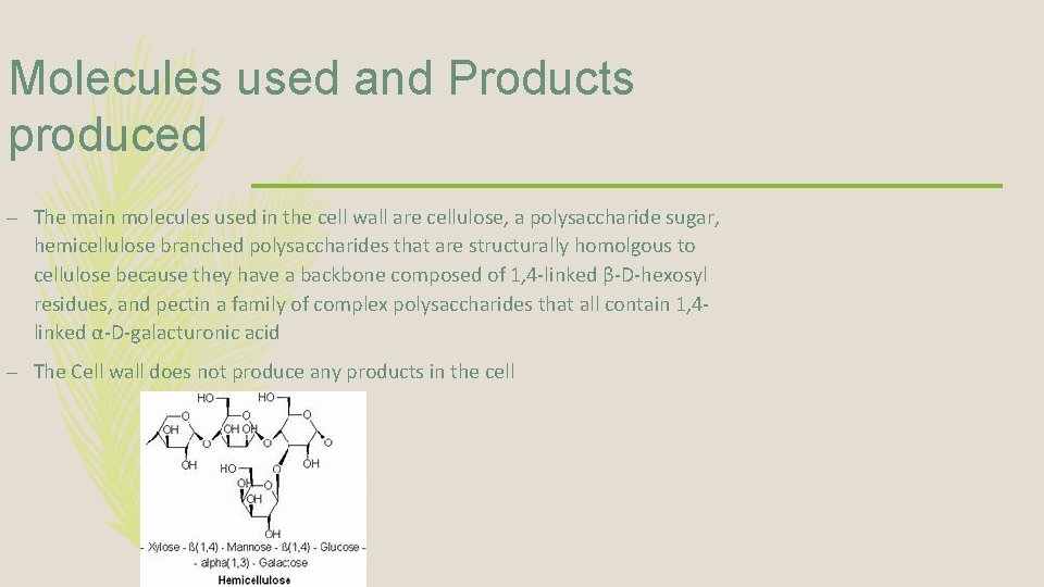 Molecules used and Products produced – The main molecules used in the cell wall