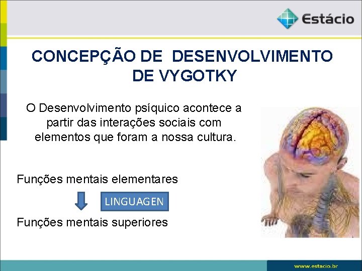 CONCEPÇÃO DE DESENVOLVIMENTO DE VYGOTKY O Desenvolvimento psíquico acontece a partir das interações sociais