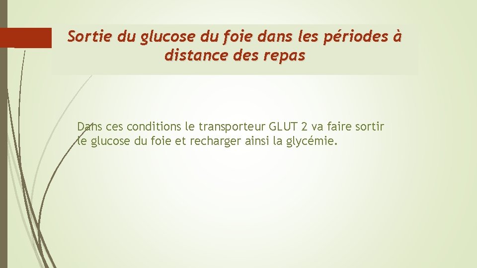 Sortie du glucose du foie dans les périodes à distance des repas Dans ces