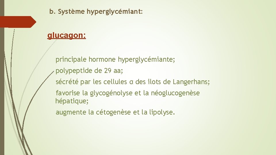 b. Système hyperglycémiant: glucagon: principale hormone hyperglycémiante; polypeptide de 29 aa; sécrété par les