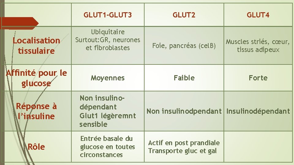 GLUT 1 -GLUT 3 GLUT 2 GLUT 4 Ubiquitaire Surtout: GR, neurones et fibroblastes