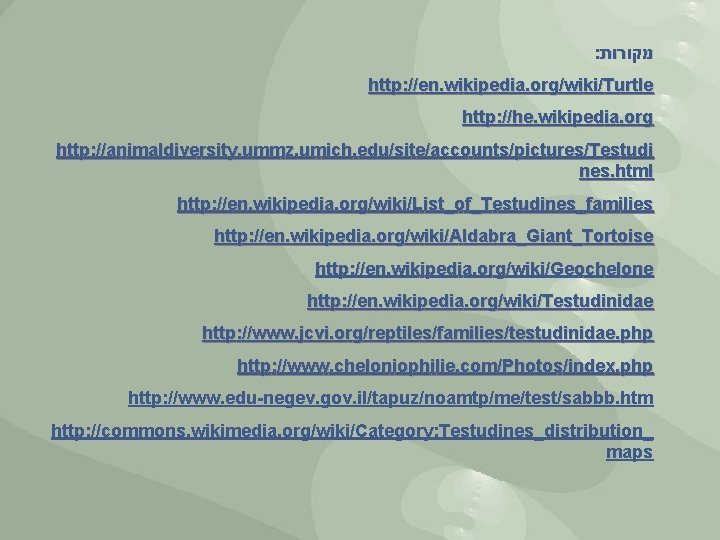 : מקורות http: //en. wikipedia. org/wiki/Turtle http: //he. wikipedia. org http: //animaldiversity. ummz. umich.