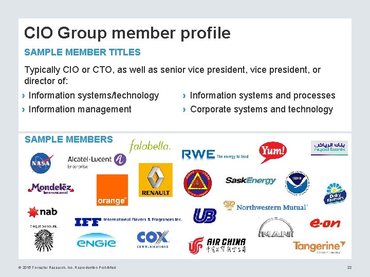 CIO Group member profile SAMPLE MEMBER TITLES Typically CIO or CTO, as well as