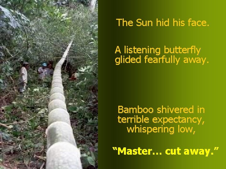 The Sun hid his face. A listening butterfly glided fearfully away. Bamboo shivered in