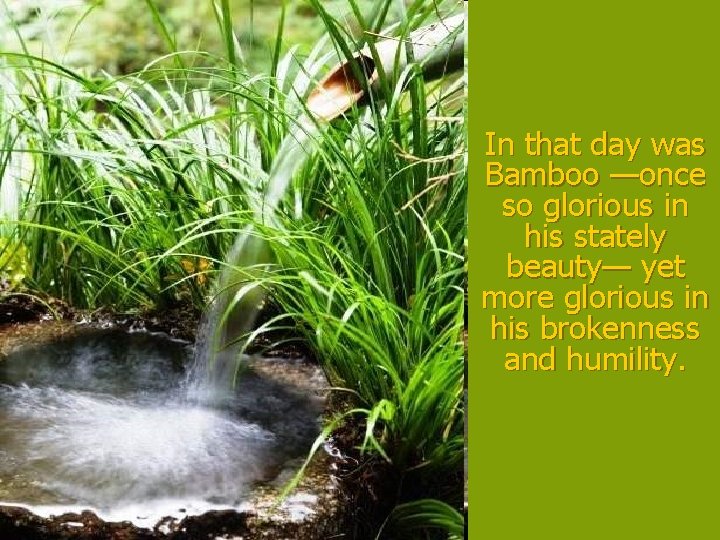 In that day was Bamboo —once so glorious in his stately beauty— yet more