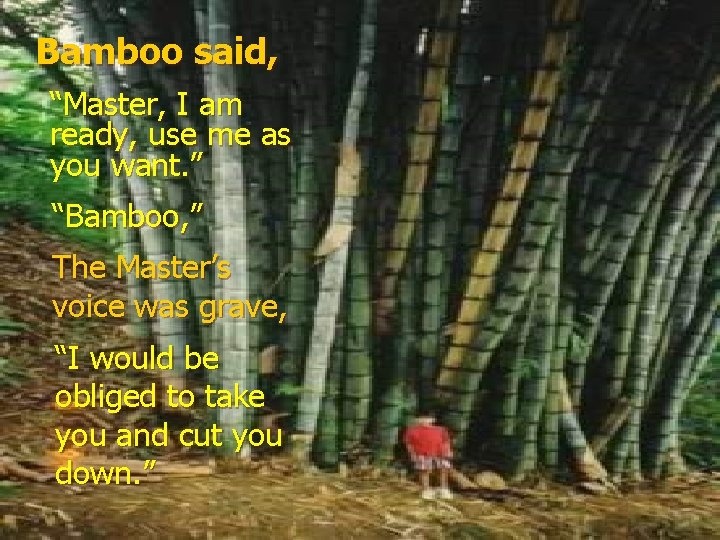 Bamboo said, “Master, I am ready, use me as you want. ” “Bamboo, ”