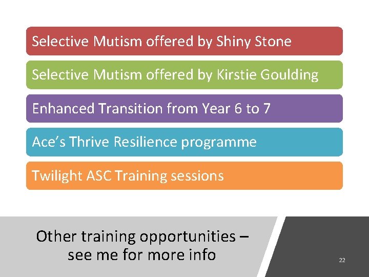 Selective Mutism offered by Shiny Stone Selective Mutism offered by Kirstie Goulding Enhanced Transition