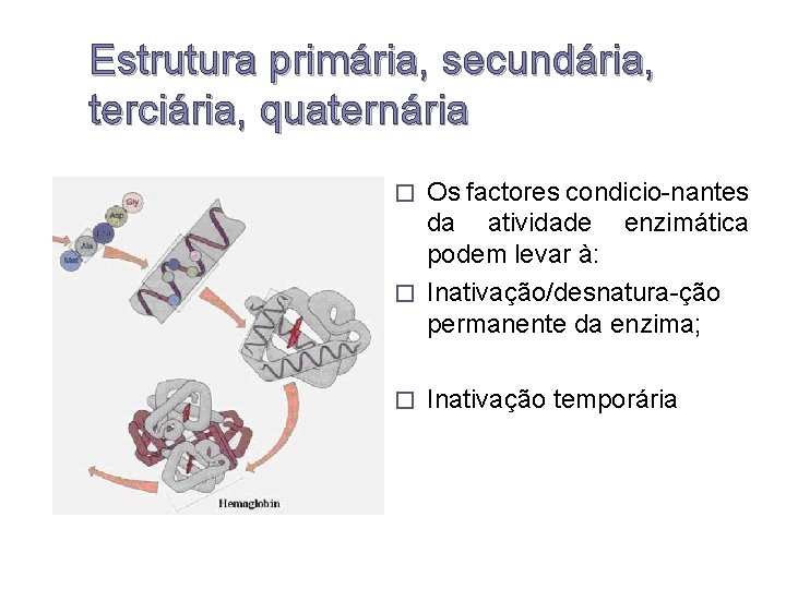 Estrutura primária, secundária, terciária, quaternária Os factores condicio-nantes da atividade enzimática podem levar à: