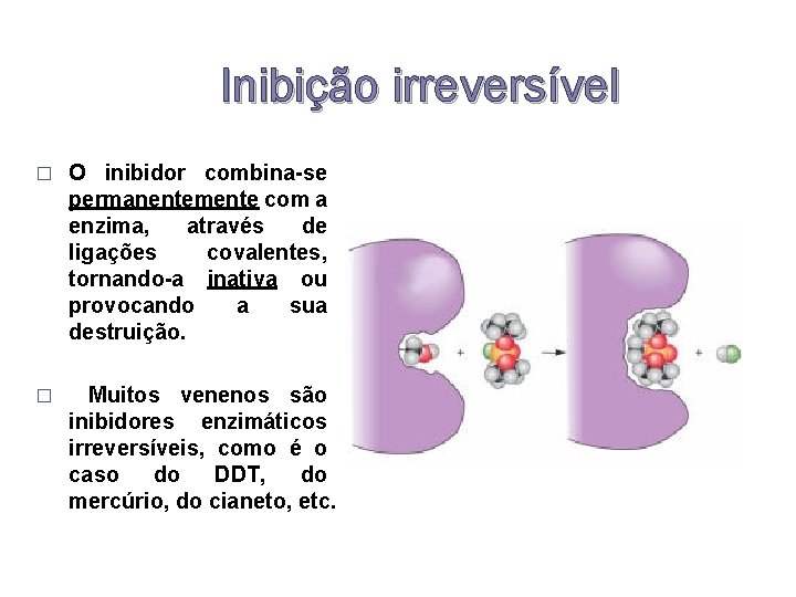 Inibição irreversível � O inibidor combina-se permanentemente com a enzima, através de ligações covalentes,