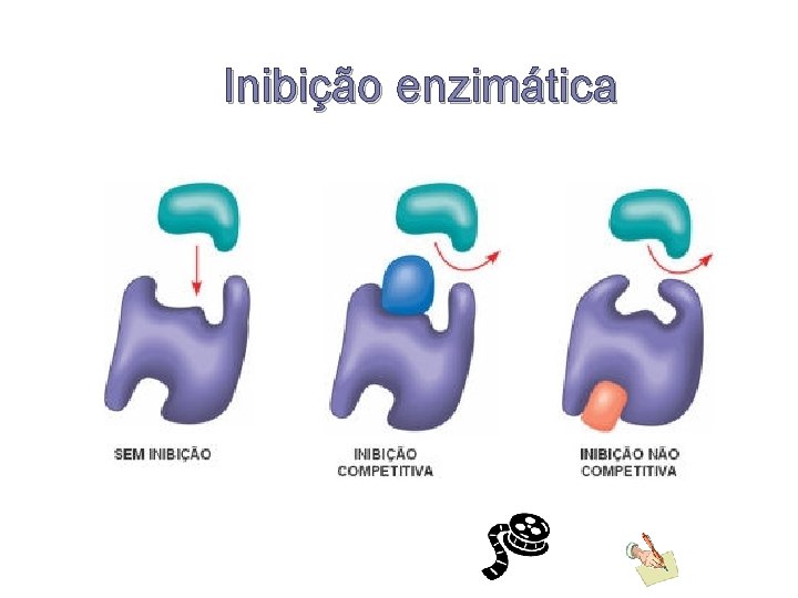 Inibição enzimática Pág. 18 