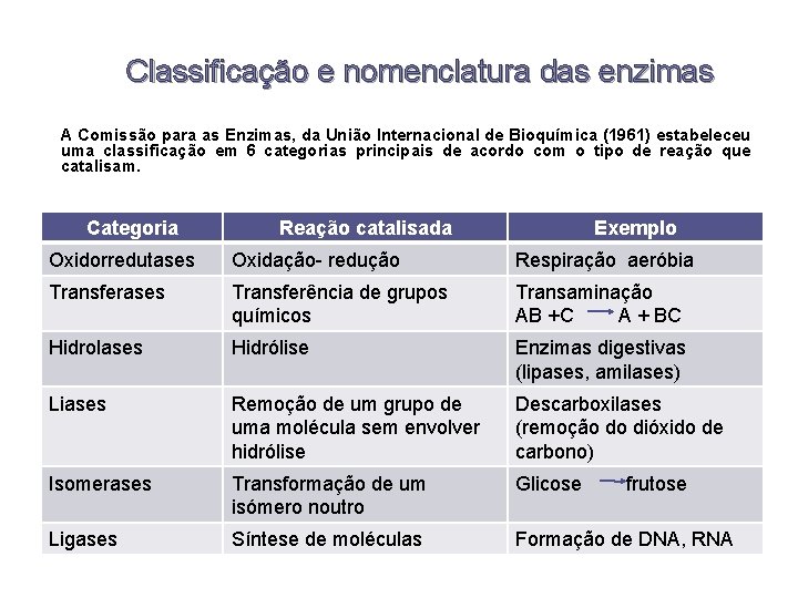 Classificação e nomenclatura das enzimas A Comissão para as Enzimas, da União Internacional de