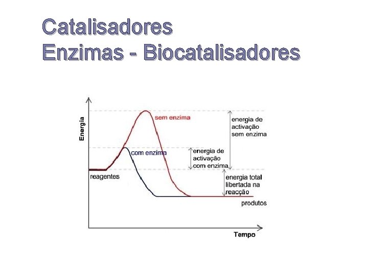 Catalisadores Enzimas - Biocatalisadores 