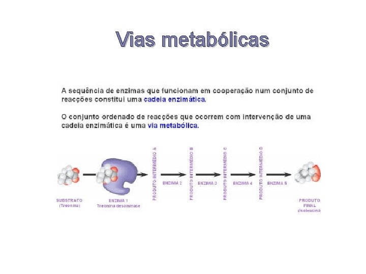 Vias metabólicas 