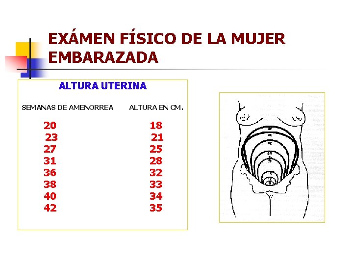 EXÁMEN FÍSICO DE LA MUJER EMBARAZADA ALTURA UTERINA SEMANAS DE AMENORREA ALTURA EN CM.