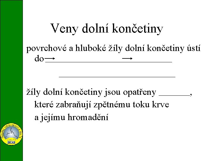 Veny dolní končetiny povrchové a hluboké žíly dolní končetiny ústí v. Iliaca externa v.