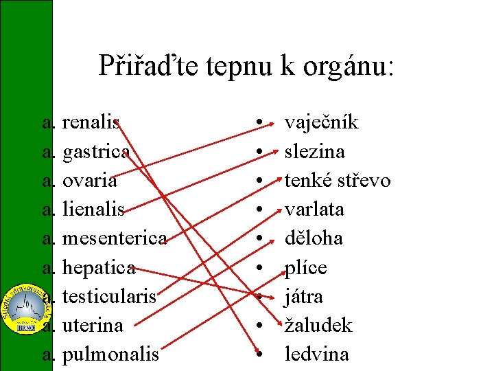 Přiřaďte tepnu k orgánu: a. renalis a. gastrica a. ovaria a. lienalis a. mesenterica