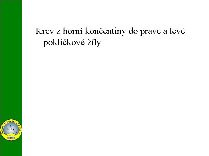 Krev z horní končentiny do pravé a levé pokličkové žíly vena subclavia dextra at