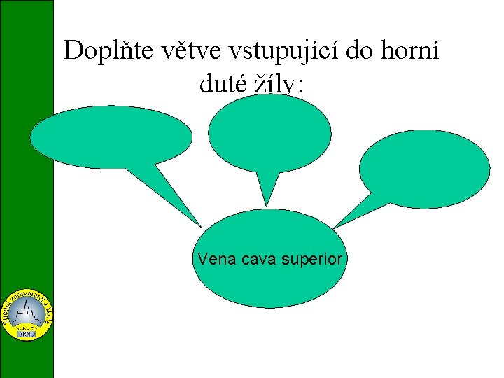 Doplňte větve vstupující do horní duté žíly: vena brachiocephalica v. jugularis externa at interna