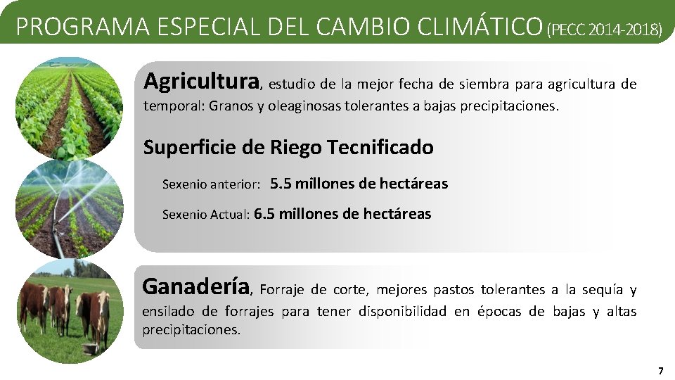PRESENTE Y FUTURO DE LA MITIGACIN DEL CAMBIO
