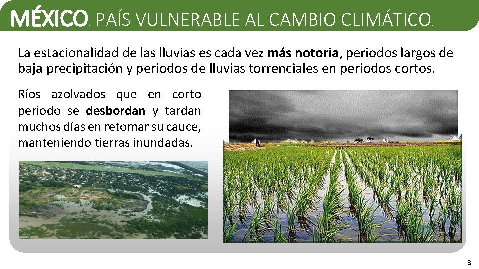 PRESENTE Y FUTURO DE LA MITIGACIN DEL CAMBIO