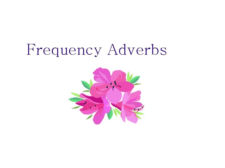 Frequency Adverbs 