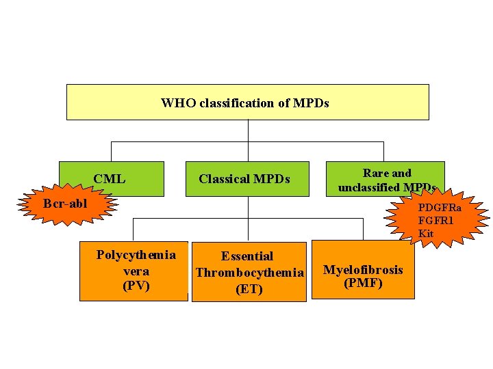 WHO classification of MPDs CML Classical MPDs Rare and unclassified MPDs Bcr-abl PDGFRa FGFR