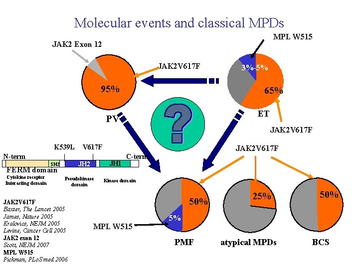 Molecular events and classical MPDs MPL W 515 JAK 2 Exon 12 JAK 2