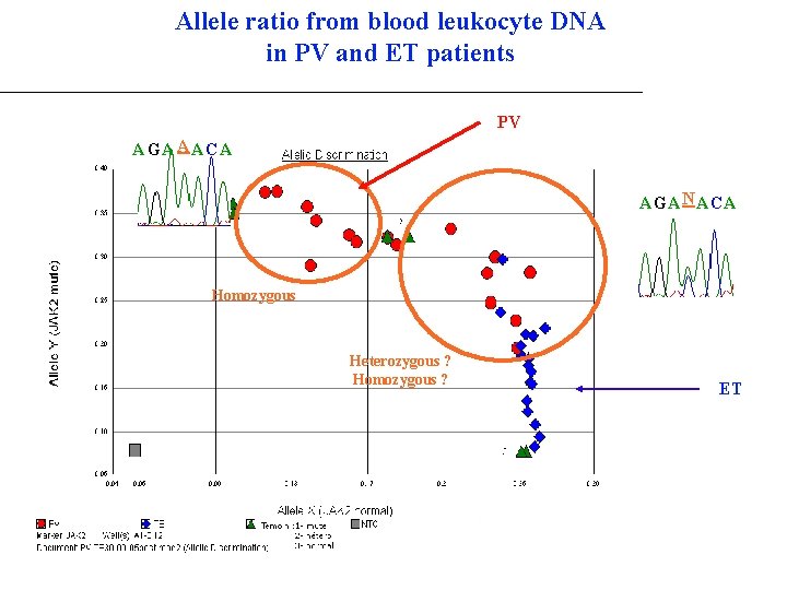 Allele ratio from blood leukocyte DNA in PV and ET patients PV A GA Allele ratio from blood leukocyte DNA in PV and ET patients PV A GA