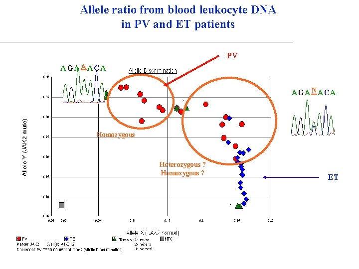 Allele ratio from blood leukocyte DNA in PV and ET patients PV A GA