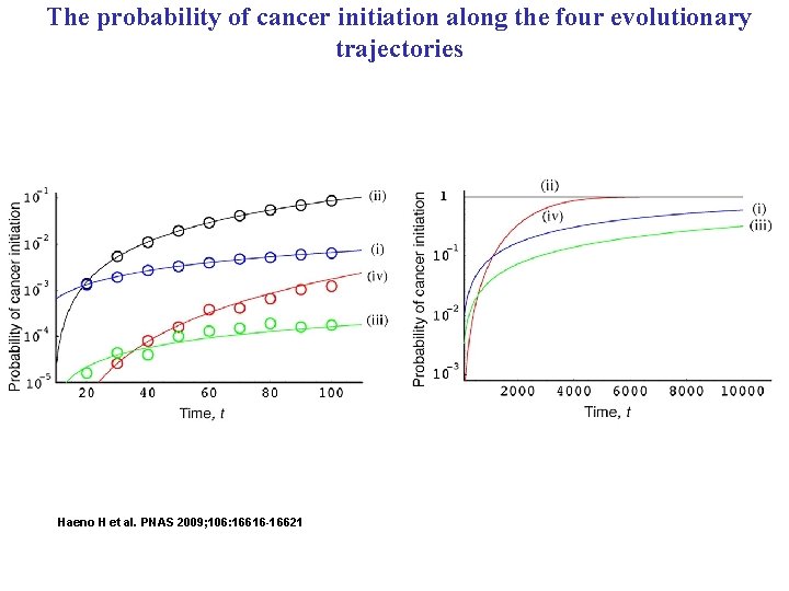 The probability of cancer initiation along the four evolutionary trajectories Haeno H et al.