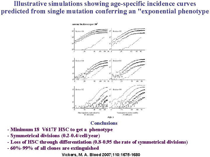 Illustrative simulations showing age-specific incidence curves predicted from single mutation conferring an "exponential phenotype