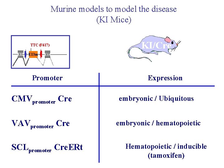 Murine models to model the disease (KI Mice) TTC (F 617) E 12 KI/Cre Murine models to model the disease (KI Mice) TTC (F 617) E 12 KI/Cre