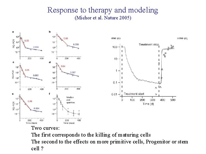 Response to therapy and modeling (Michor et al. Nature 2005) Two curves: The first