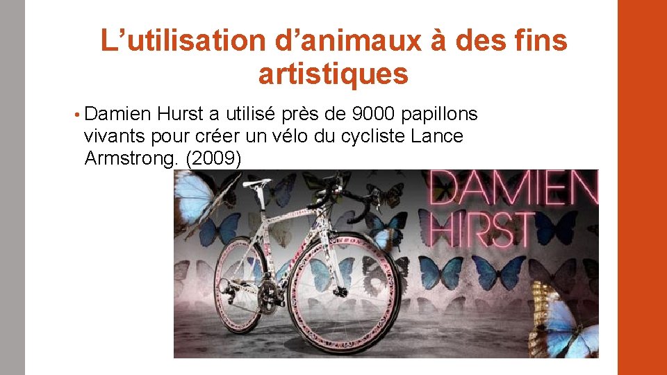 L’utilisation d’animaux à des fins artistiques • Damien Hurst a utilisé près de 9000