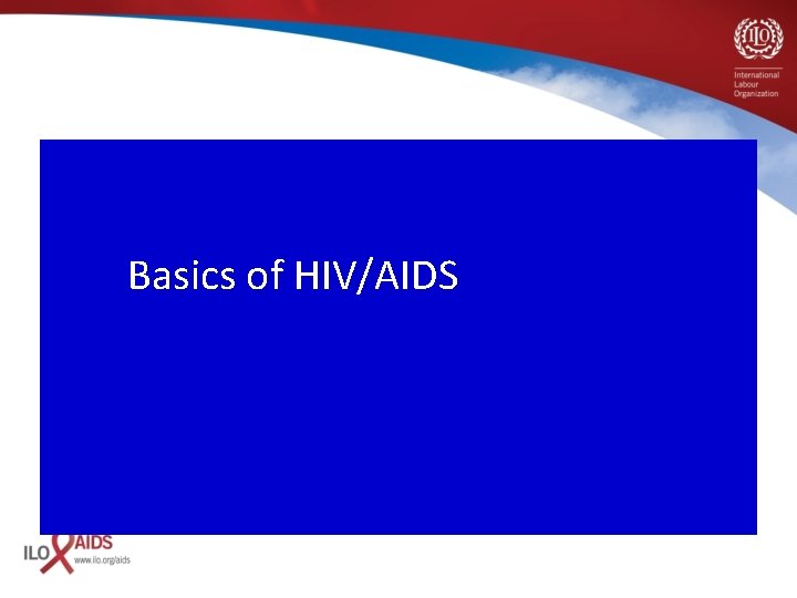 Basics of HIV/AIDS 
