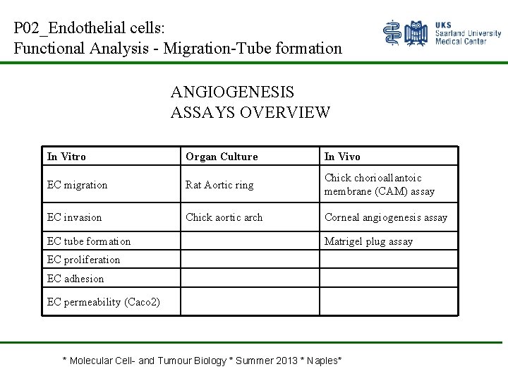 P 02_Endothelial cells: Functional Analysis - Migration-Tube formation ANGIOGENESIS ASSAYS OVERVIEW In Vitro Organ