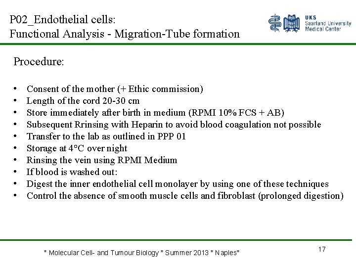 P 02_Endothelial cells: Functional Analysis - Migration-Tube formation Procedure: • • • Consent of