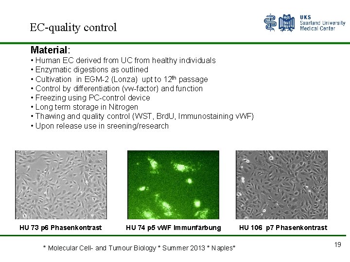 EC-quality control Material: • Human EC derived from UC from healthy individuals • Enzymatic
