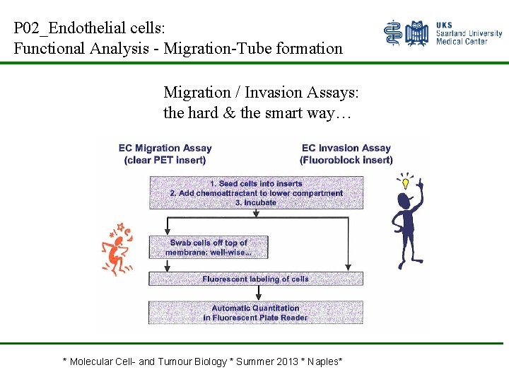 P 02_Endothelial cells: Functional Analysis - Migration-Tube formation Migration / Invasion Assays: the hard
